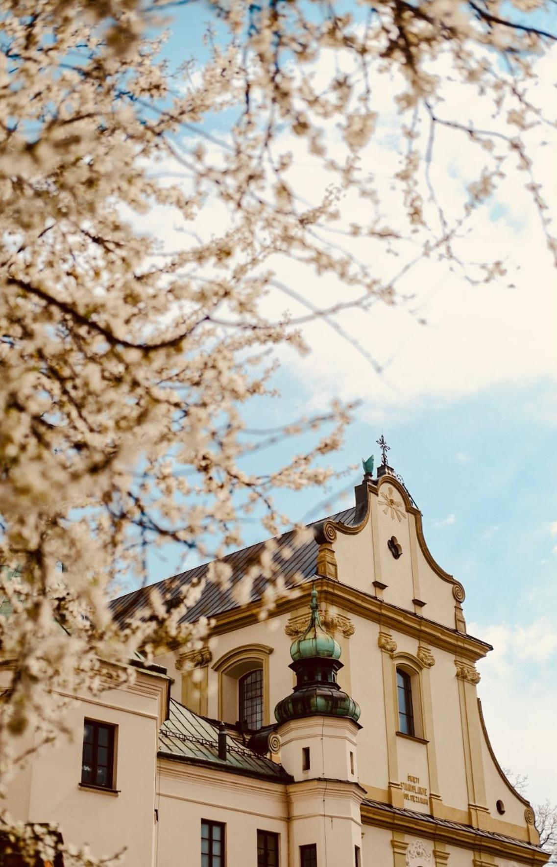 Well Well Aparthotel Cracovia
